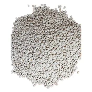 white beans